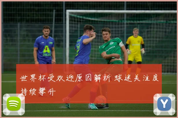 世界杯受欢迎原因解析 球迷关注度持续攀升