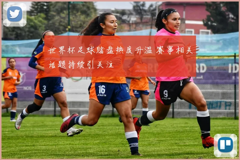 世界杯足球赌盘热度升温 赛事相关话题持续引关注