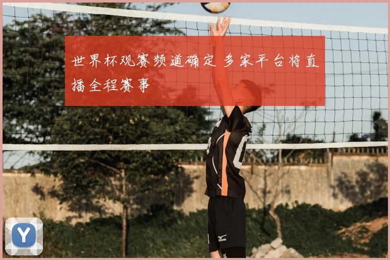 世界杯观赛频道确定 多家平台将直播全程赛事