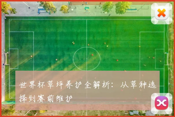 世界杯草坪养护全解析:从草种选择到赛前维护